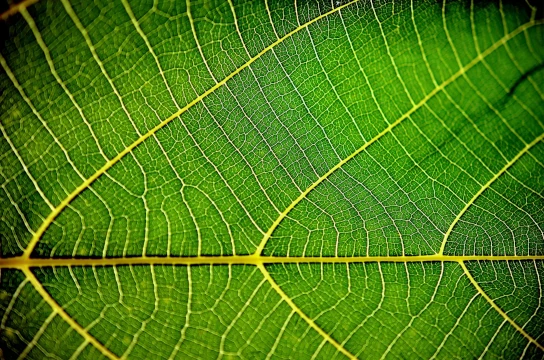 In Verbindung bleiben: KI im Spiralmodell